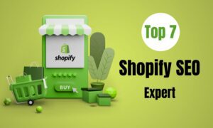 Shopify SEO Expert,
